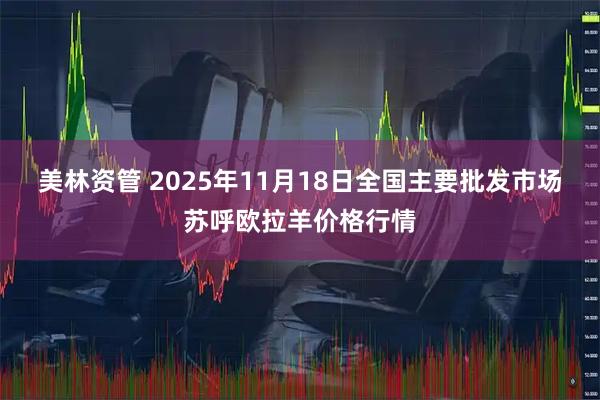 美林资管 2025年11月18日全国主要批发市场苏呼欧拉羊价格行情