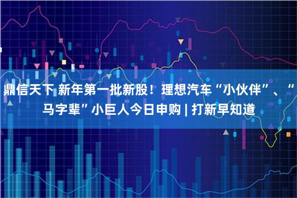 鼎信天下 新年第一批新股！理想汽车“小伙伴”、“马字辈”小巨人今日申购 | 打新早知道