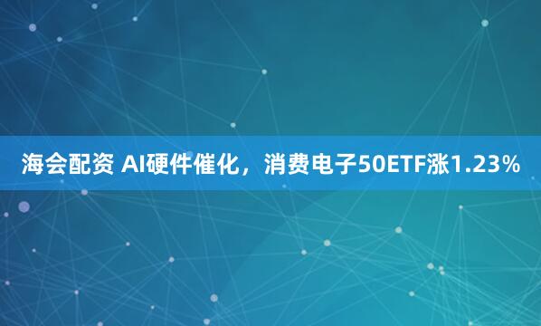 海会配资 AI硬件催化，消费电子50ETF涨1.23%