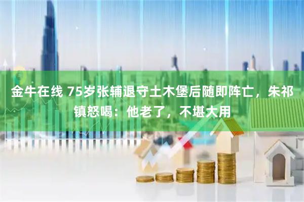 金牛在线 75岁张辅退守土木堡后随即阵亡，朱祁镇怒喝：他老了，不堪大用