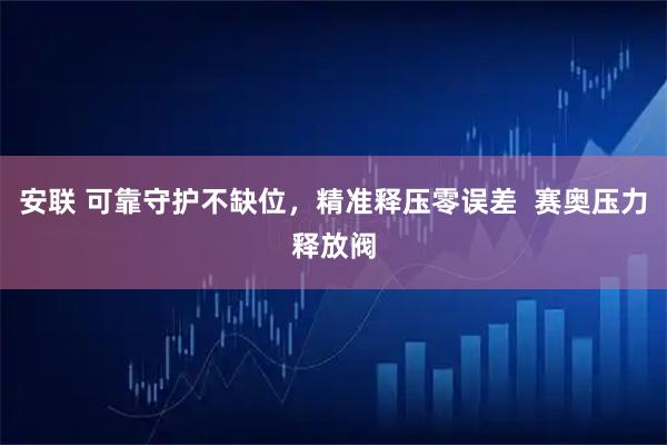 安联 可靠守护不缺位，精准释压零误差  赛奥压力释放阀